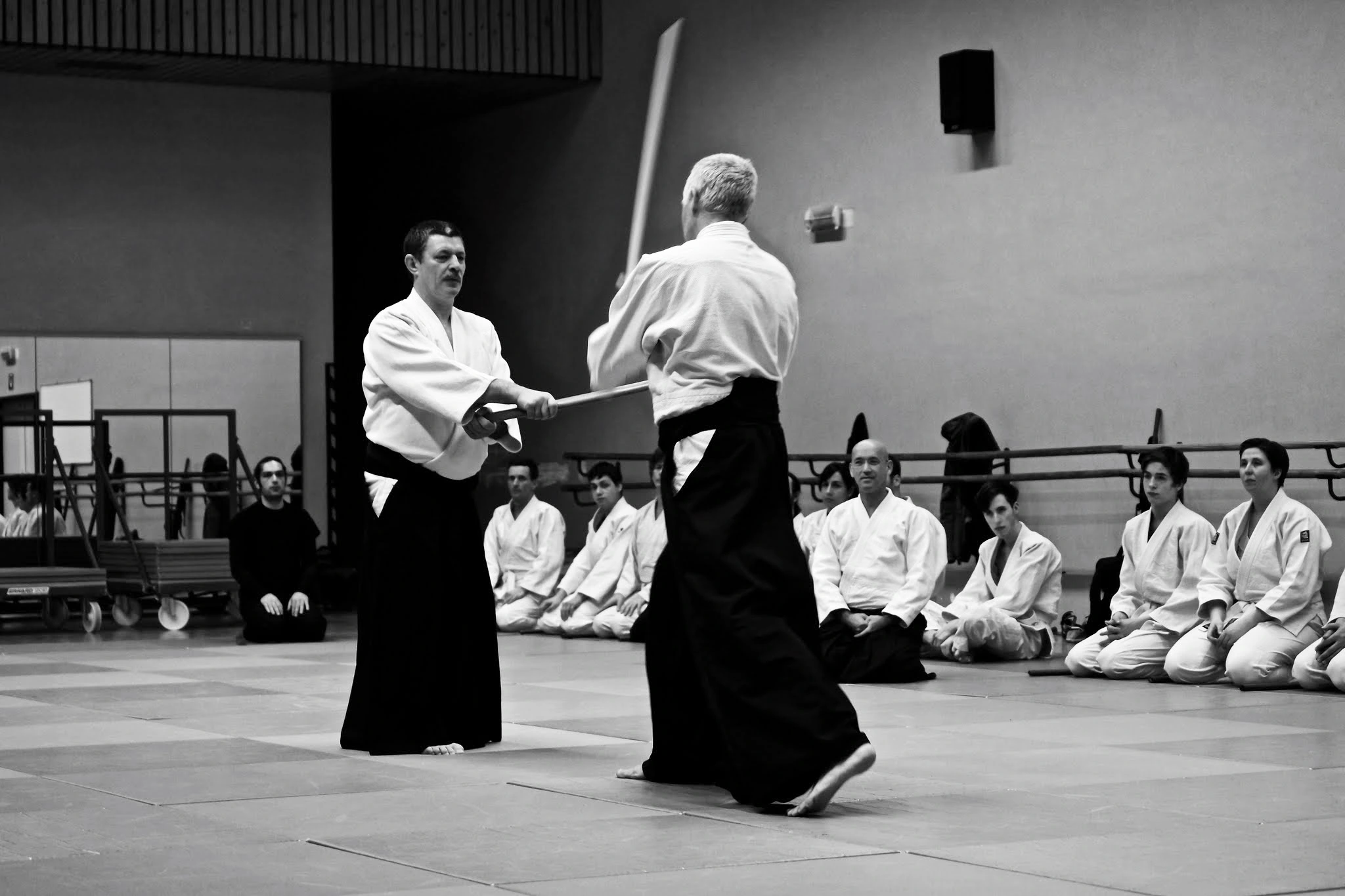 Aikido, Aikido and Aikido