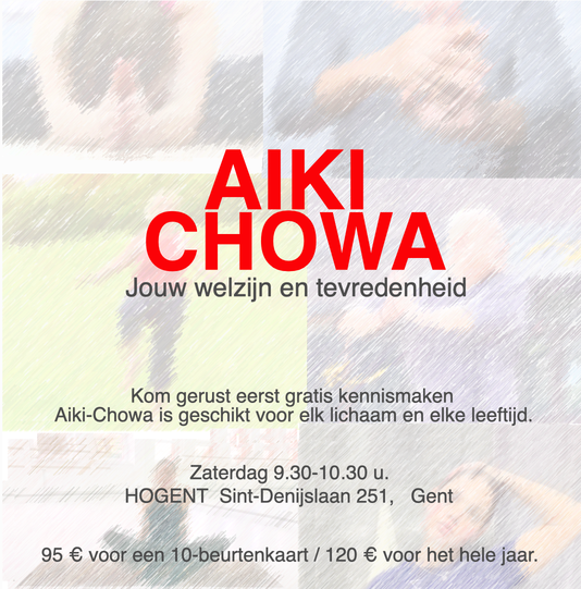 Beter bewegen door Aiki-Chowa